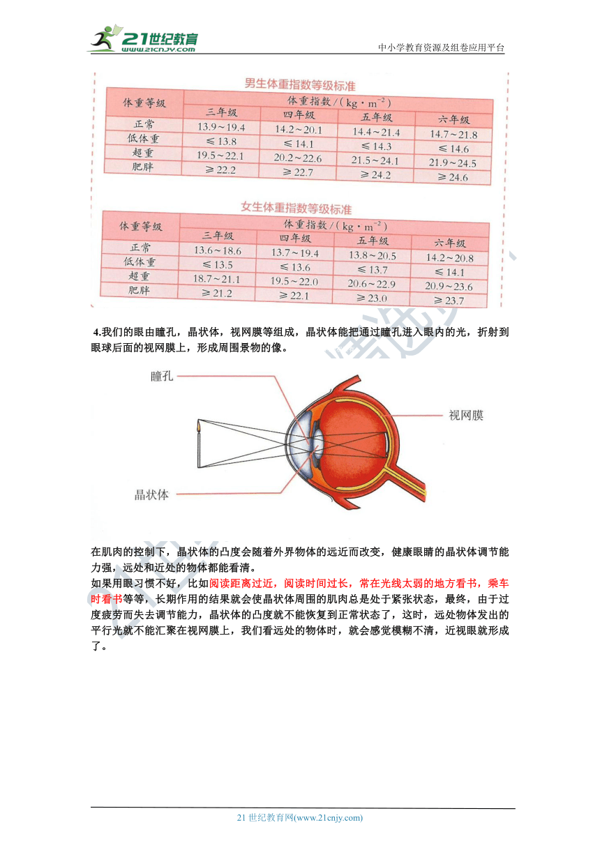 五下3.10《保护我们的身体》知识梳理