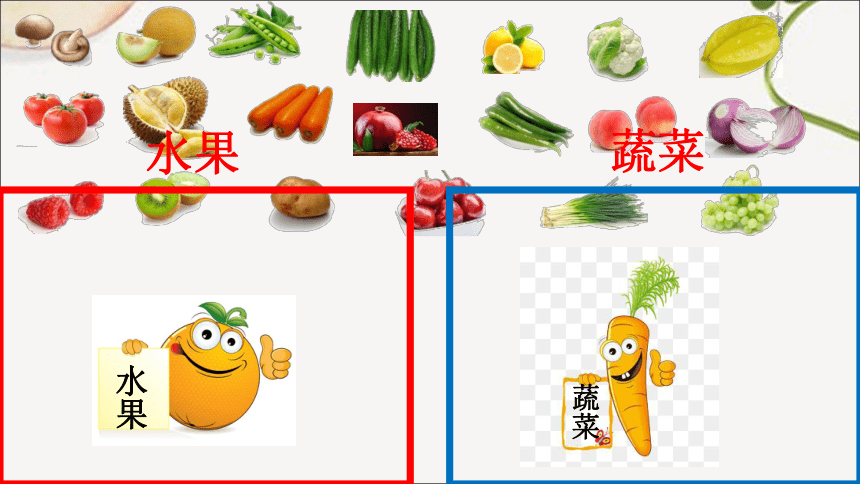 粤教粤科版（2017秋）一年级上册2.5常见的水果和蔬菜 （课件17ppt）