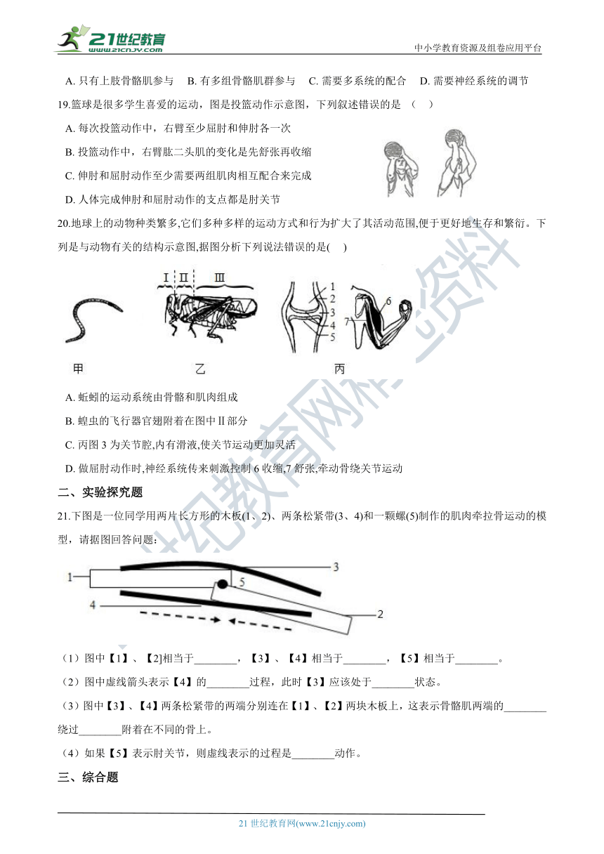 生物人教八上 5.2.1动物的运动 同步练习（含答案）