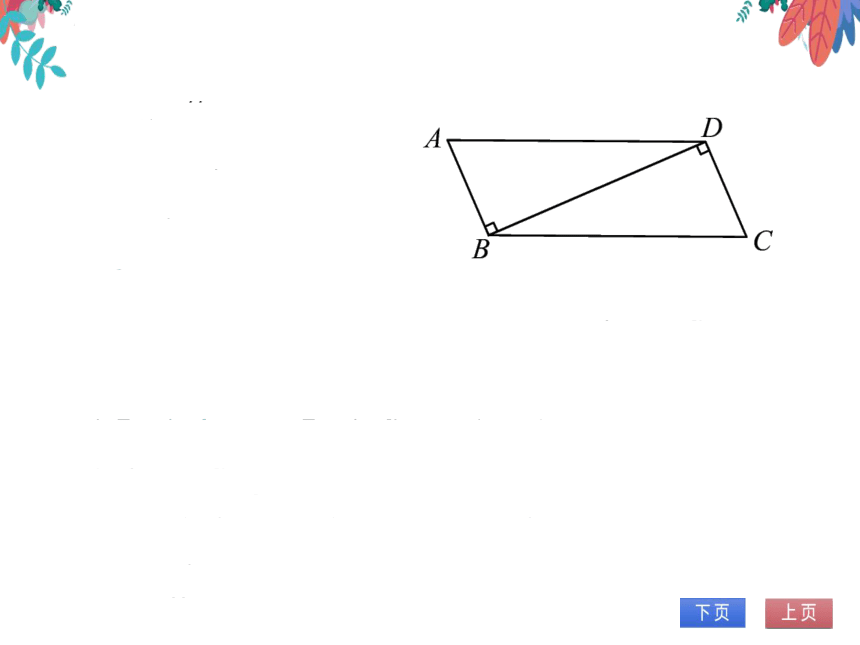 【沪科版】数学八年级上册 14.2三角形全等的判定5.两个直角三角形全等的判定 习题课件