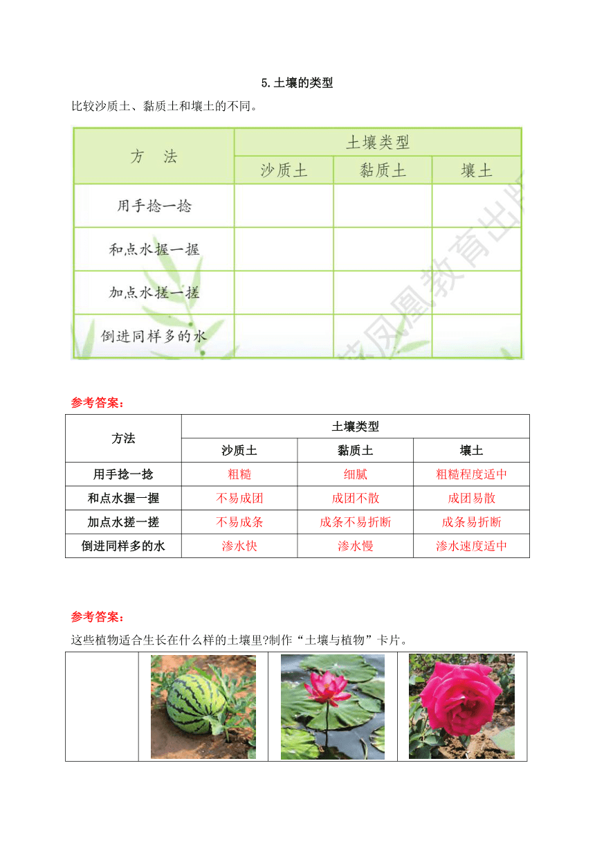 苏教版（2017秋）科学 三年级上册 学生活动手册答案