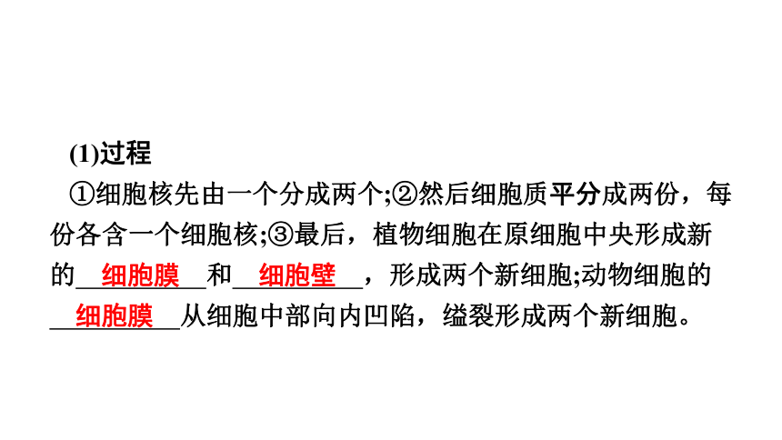 2023年中考生物复习专题课件★★细胞怎样构成生物体