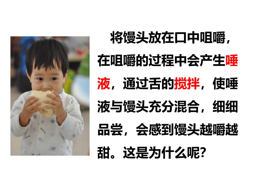 2021--2022学年冀教版生物七年级下册2.1.2.1食物在口腔中的消化课件(共20张PPT)