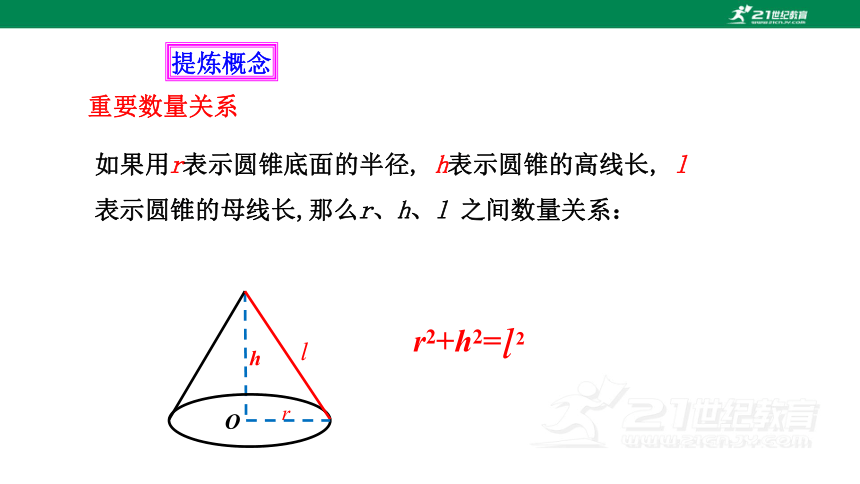 24.4.2 圆锥的侧面积和全面积  课件（共25张PPT）