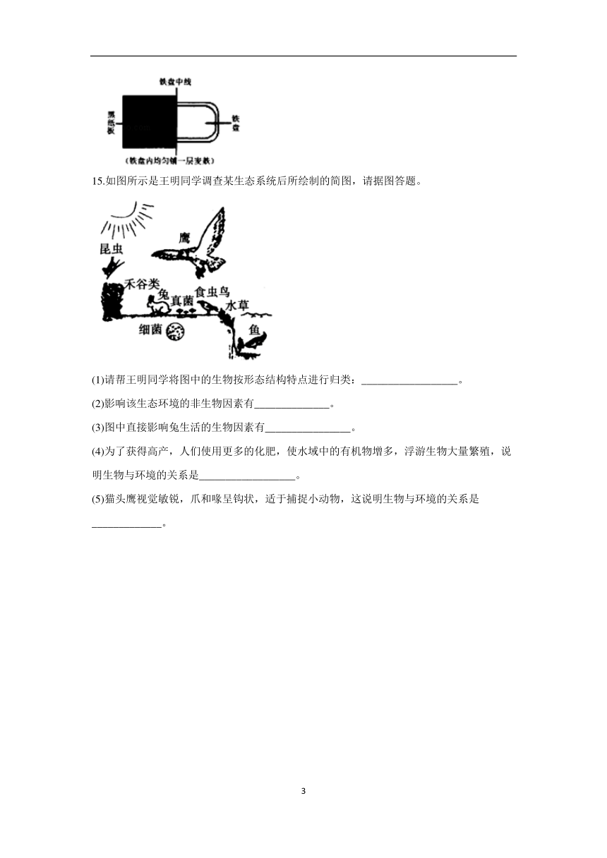 2023年中考一轮复习生物重点练：专题二 考点03 生物与环境（A卷）（含解析）