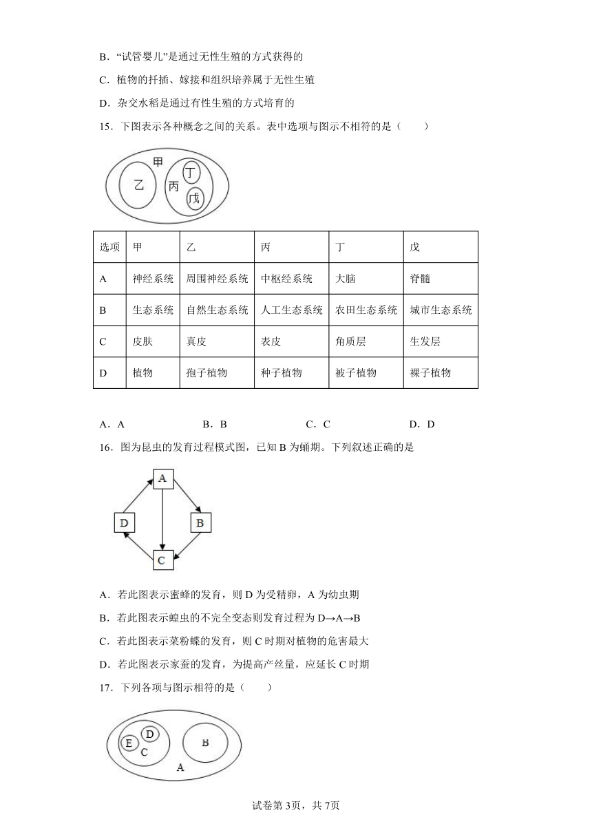 鲁科版生物八年级下册期末检测优化提升训练试题3（含解析）