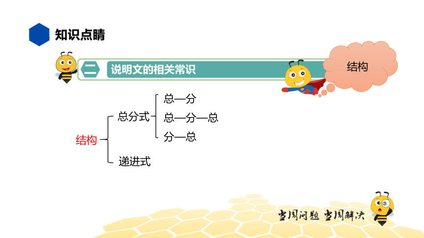 核心素养 语文六年级 【知识精讲】说明文阅读 课件