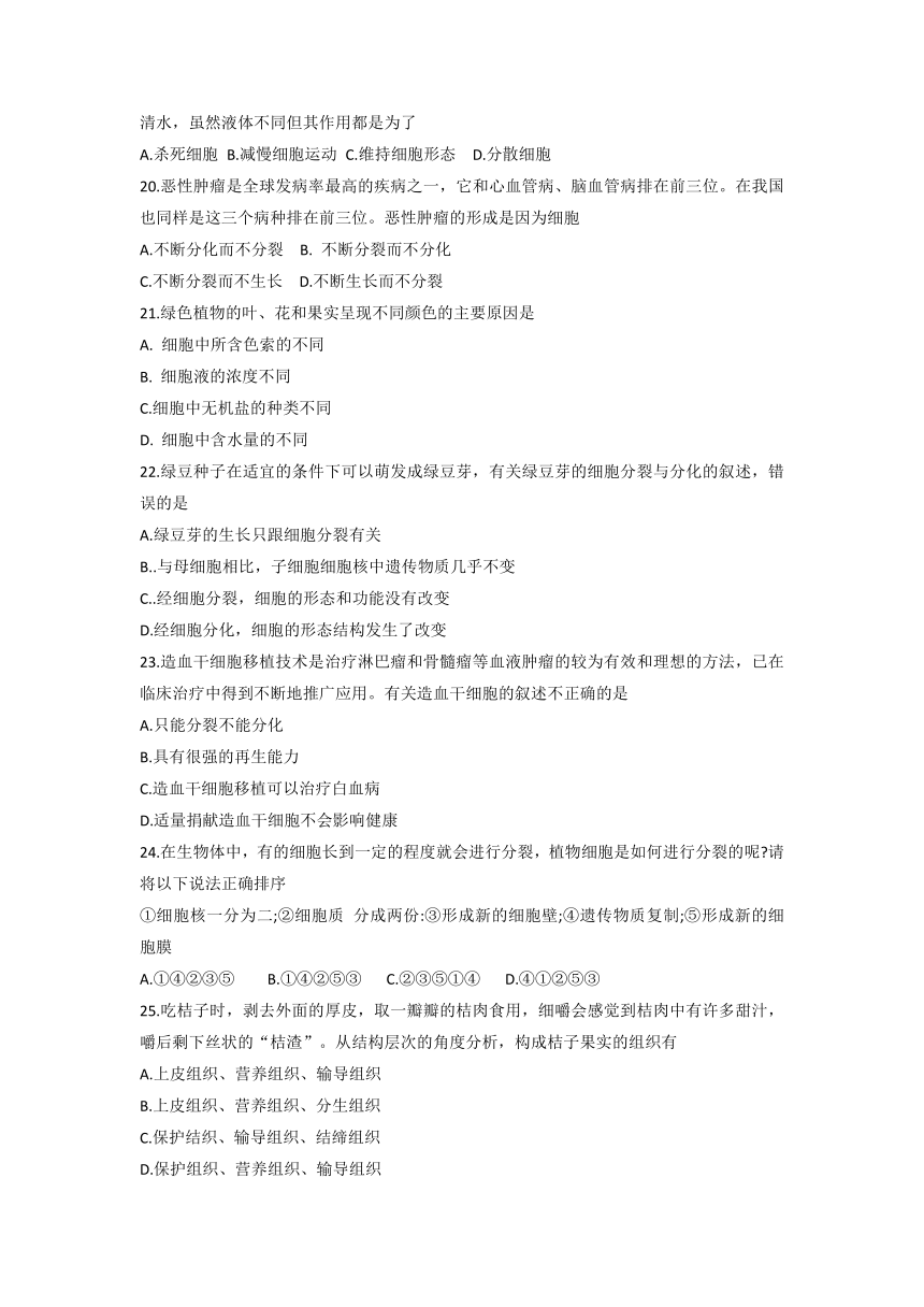 山东省淄博市临淄区（五四制）2021-2022学年上学期六年级期末生物试题（word版无答案）