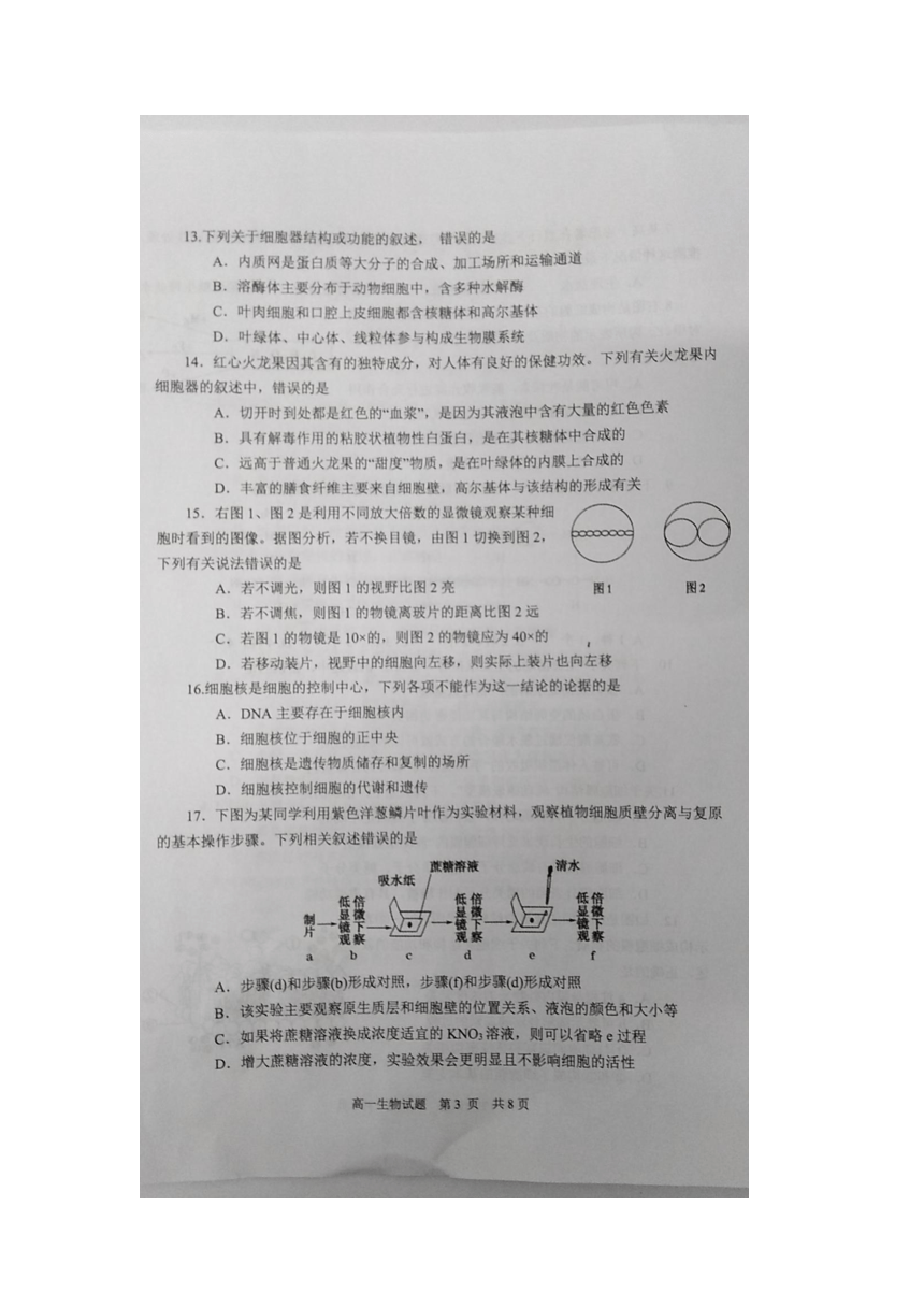 江苏省盐城市东台市2020-2021学年高一上学期期末考试生物试题       （图片版）