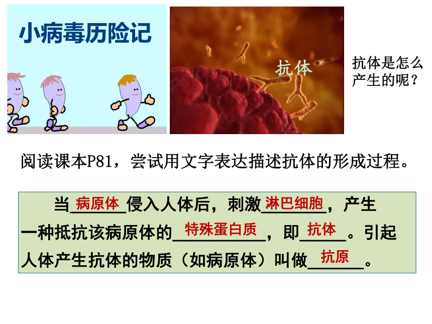 冀教版七年级下册生物 6.1 免疫 课件（共37张PPT）