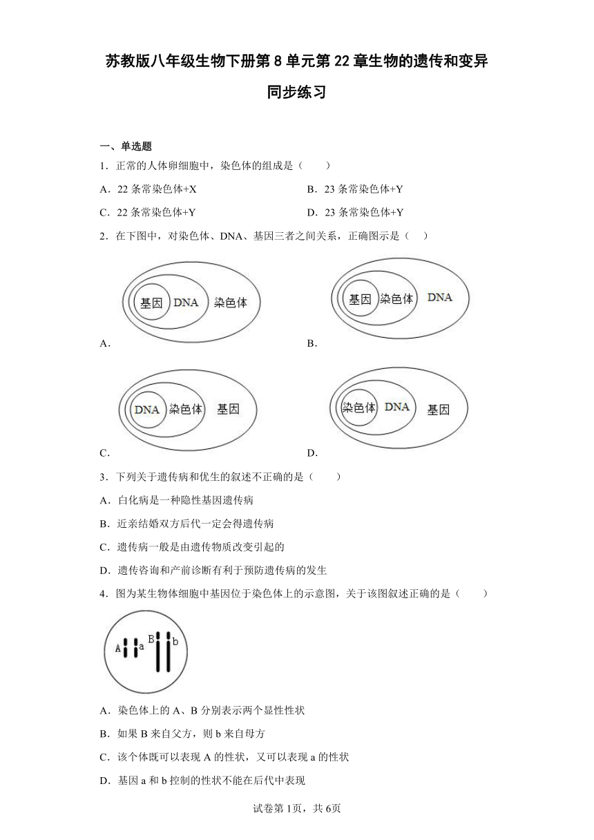 苏教版八年级生物下册第8单元第22章生物的遗传和变异同步练习（含解析）
