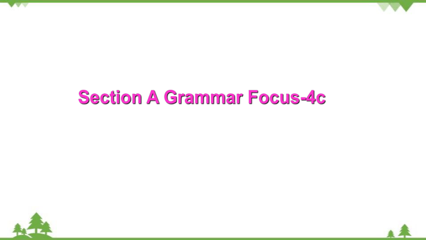 Unit 7 Life is full of the unexpected Section A Grammar Focus-4c课件(共26张PPT)