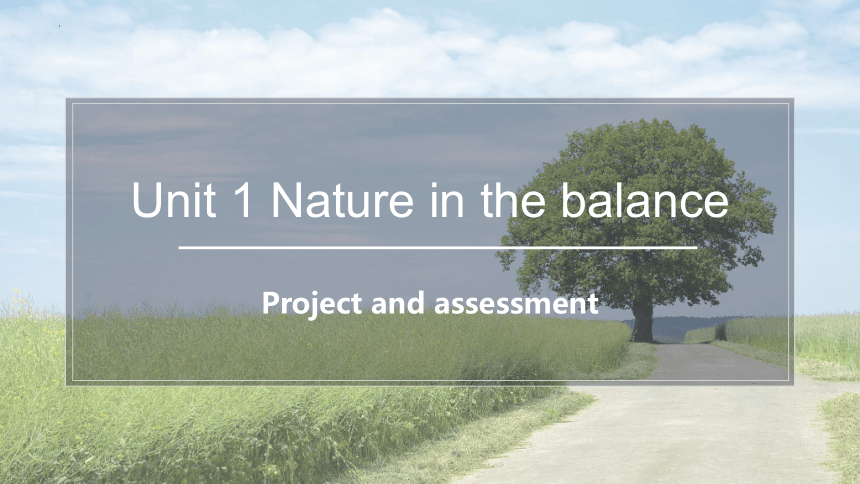 牛津译林版（2019）必修第三册Unit 1 Nature in the balance Project and Assessment 课件(22张ppt)