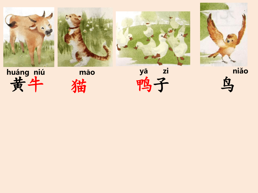 7.大小多少 课件(共19张PPT)