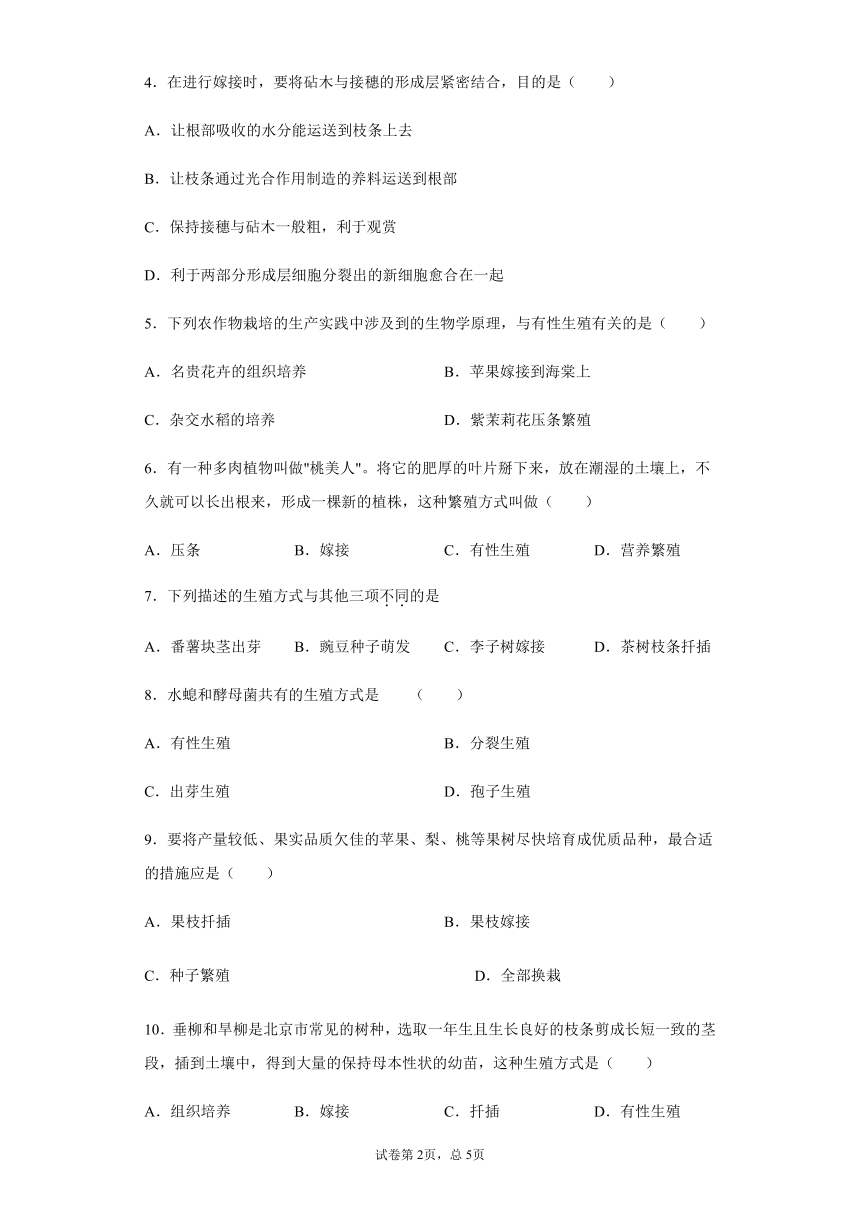 7.1.1 植物的生殖试题 同步测试（Word版附答案） 2020-2021学年人教版八年级生物下册必刷