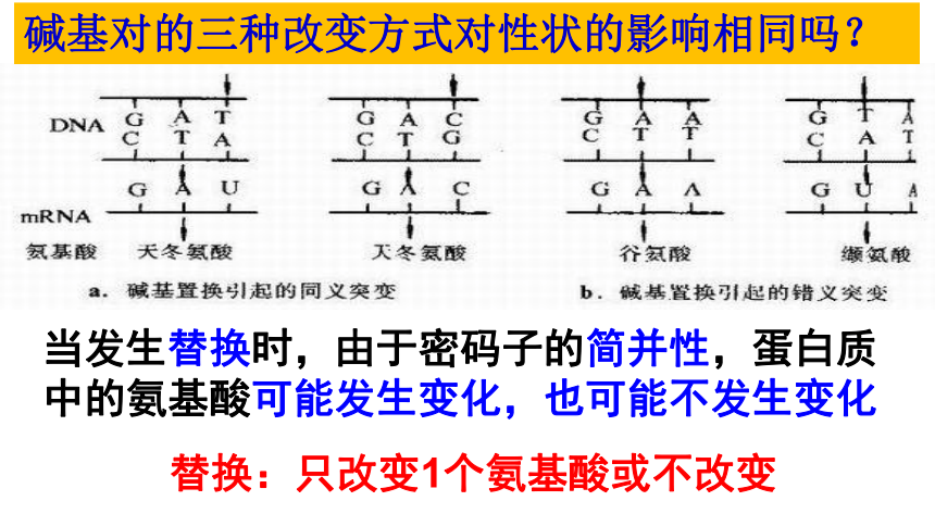 【新教材】人教版（2019）高中生物必修二5.1 基因突变和基因重组 课件（33张ppt）