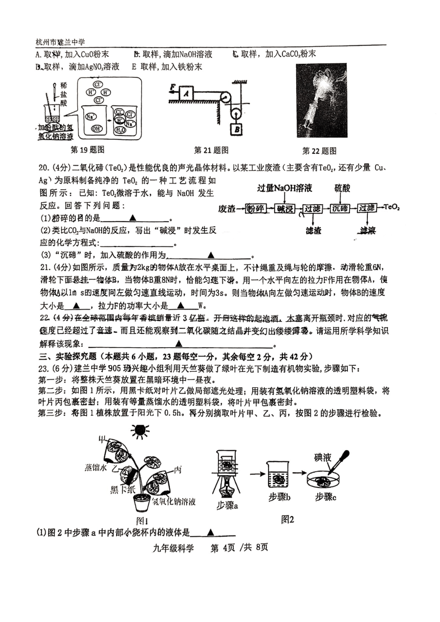 2024年浙江省杭州市建兰中学初三科学3月月考试卷（图片版，无答案）