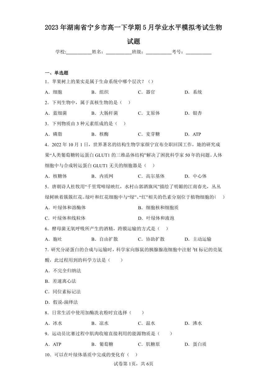 2023年湖南省宁乡市高一下学期5月学业水平模拟考试生物试题（含解析）