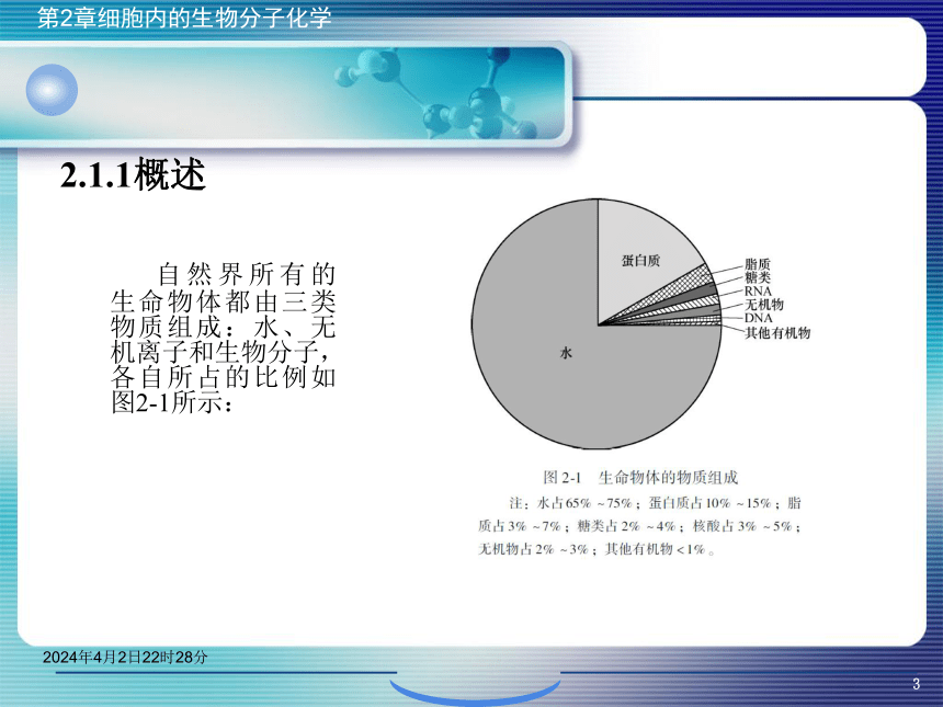 2.1生物分子概论 课件(共42张PPT)- 《环境生物化学》同步教学（机工版·2020）