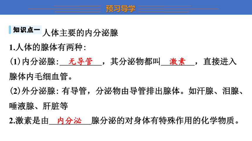 6.16.3 人体的激素调节 课件(共17张PPT) 2023-2024学年苏科版生物八年级上册