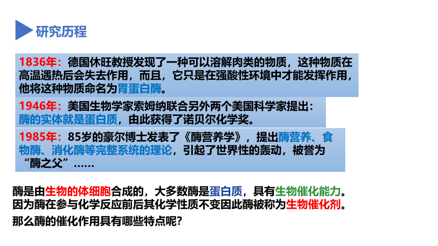 4.2 食物的消化与吸收 第2课时(课件 14张PPT)