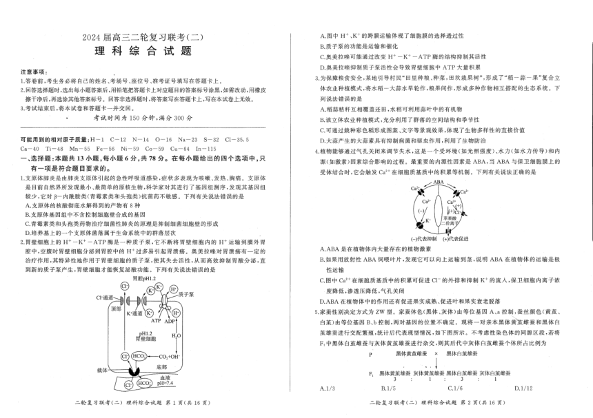 辽宁省2024届高三下学期二轮复习联考（二）（新高考）理综试卷（图片版，含解析）