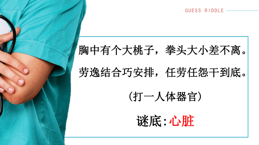 4.4.3输送血液的泵——心脏课件(共18张PPT)2022--2023学年人教版生物七年级下册