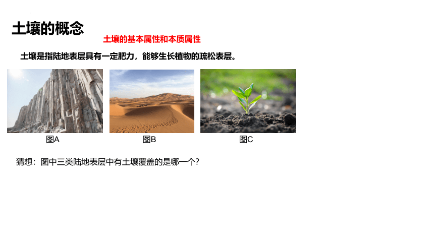 5.2土壤课件（共34张ppt）