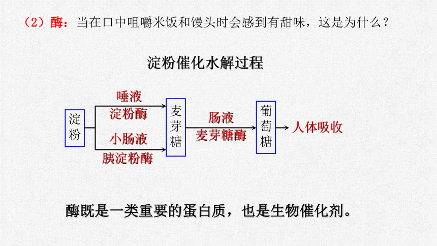 课题12.1 人类重要的营养物质-九年级化学下册课件(共23张PPT)