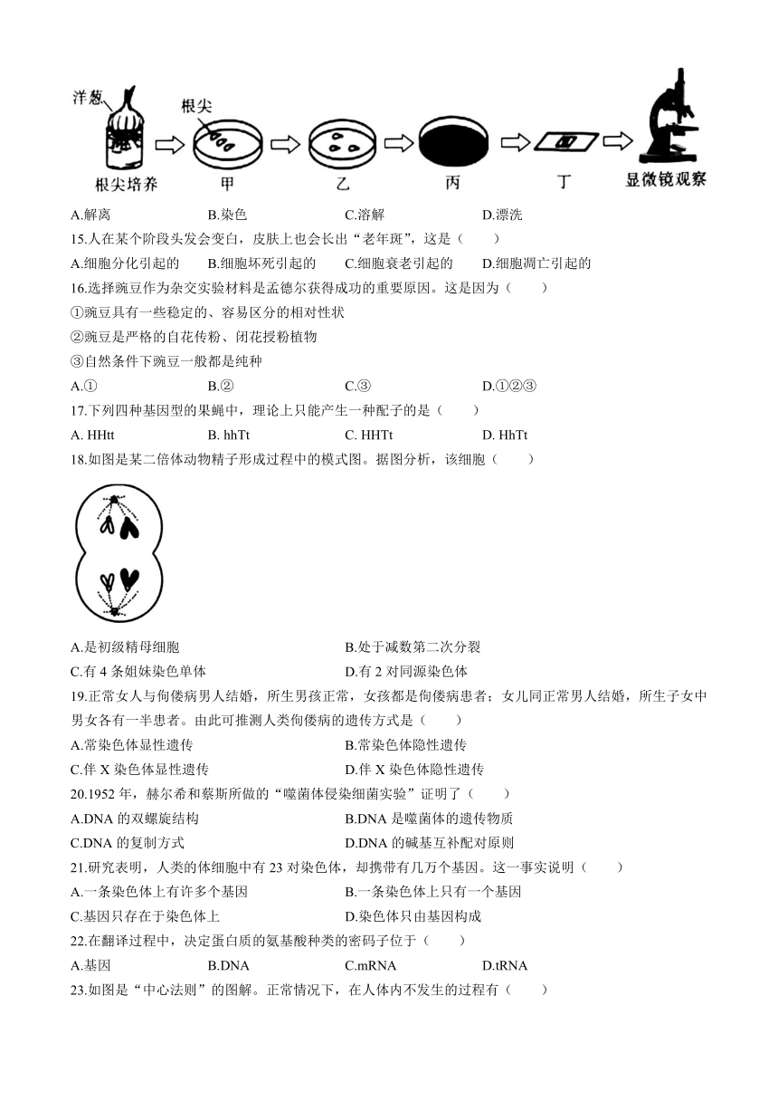 陕西省2024年高中学业水平考试模拟（二）生物学试题（含答案）