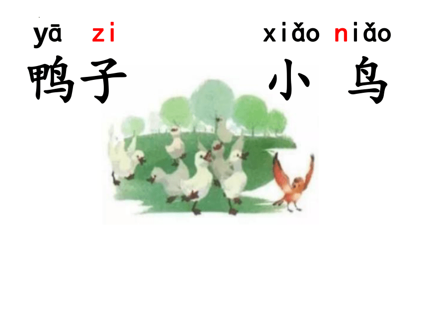 7 大小多少 课件(共41张PPT)