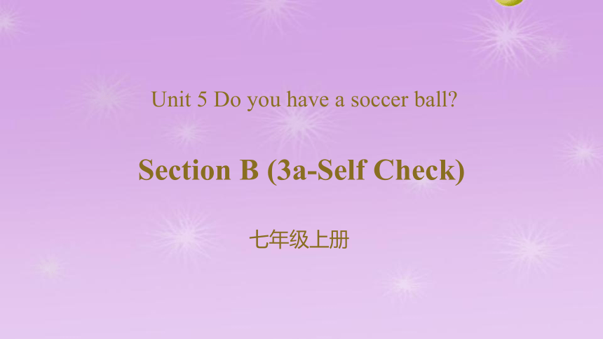 人教版（新目标）七年级上册Unit 5 Do you have a soccer ball？-Section B (3a-Self Check)课件(共19张PPT)