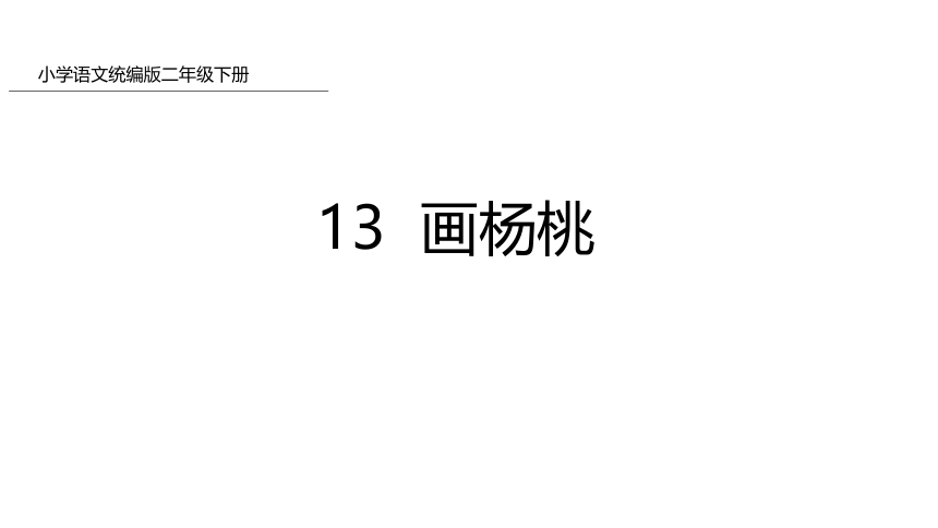 13 画杨桃    课件(共46张PPT)