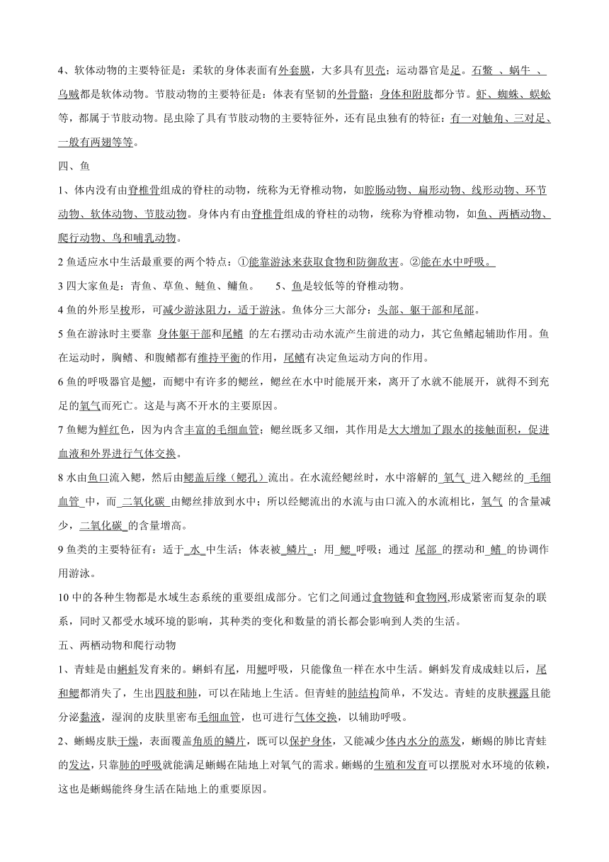 人教版八年级生物上册全册知识点汇总