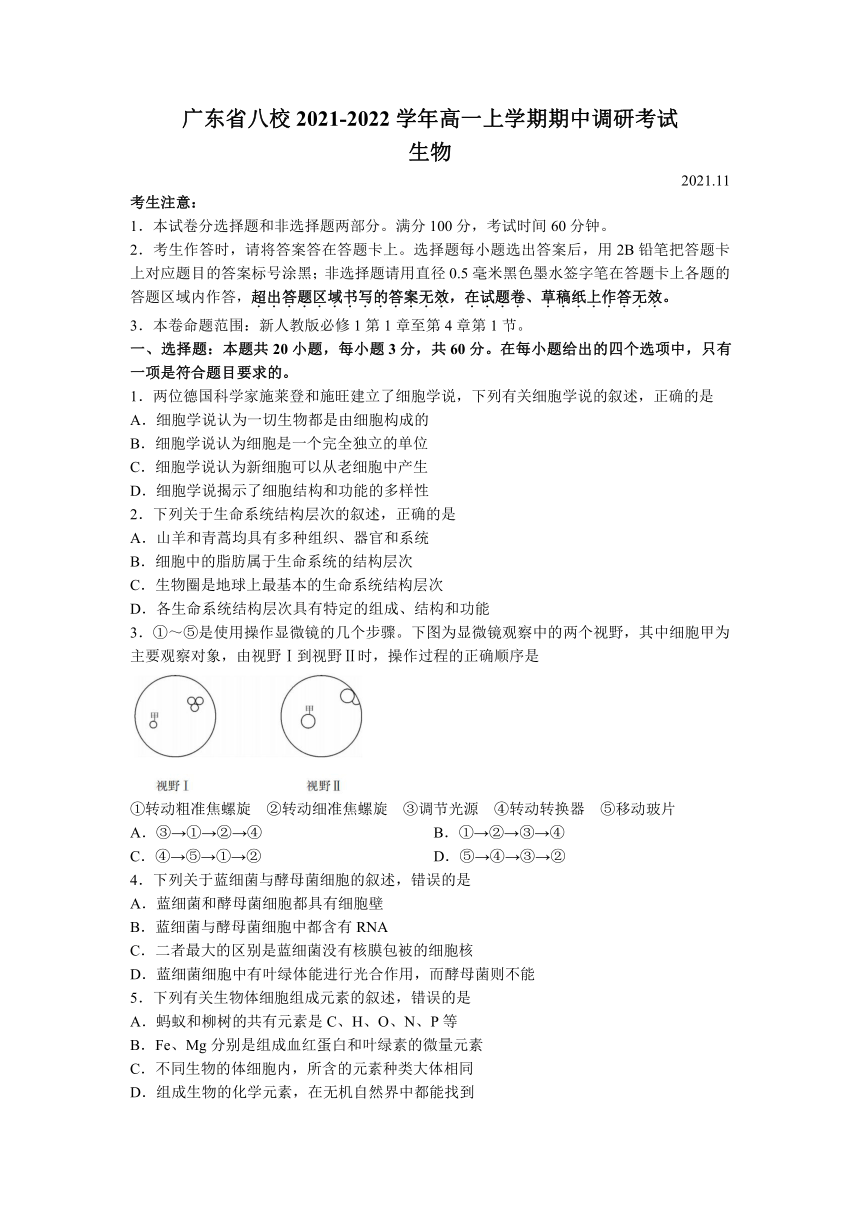 广东省八校2021-2022学年高一上学期期中调研考试生物试题（Word版含答案）