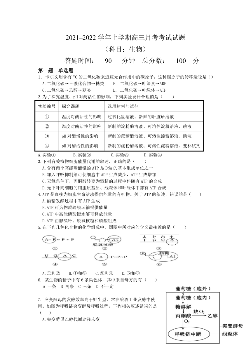 辽宁省葫芦岛市八中2022届高三上学期10月月考生物试卷（Word版含答案）