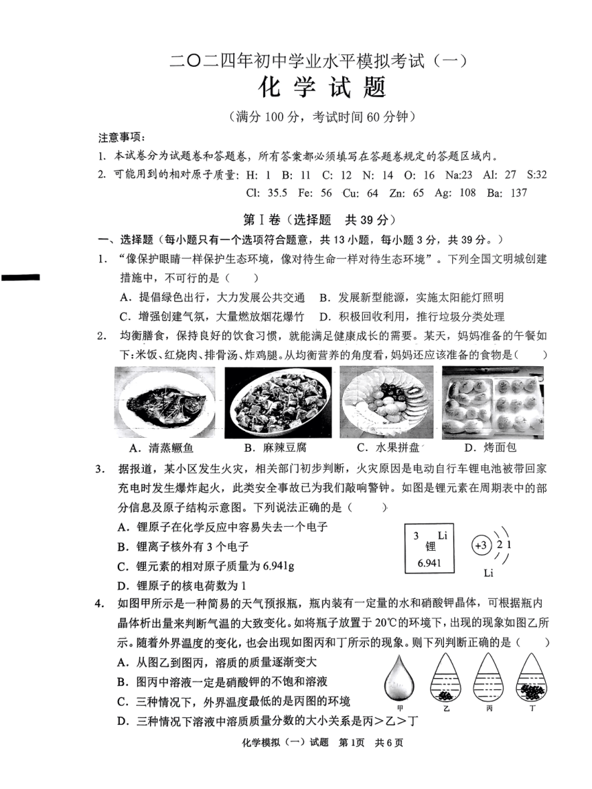 2024年山东省枣庄市峄城区第一次模拟考试化学试卷（PDF无答案）