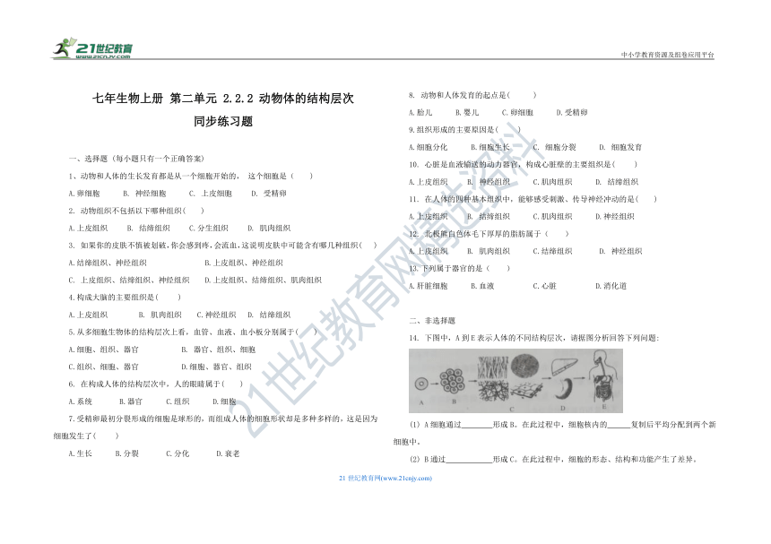 第二单元 2.2.2 动物体的结构层次 同步练习题 人教版七年级生物 上册（含答案）