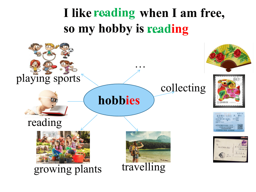 Module 6 Hobbies Unit 1 Do you collect anything课件(共24张PPT)