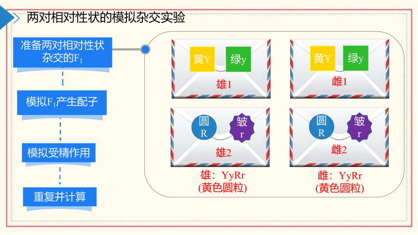 1.2模拟孟德尔杂交实验、两对相对性状的杂交实验及对自由组合现象的解释(共55张PPT)  高中生物 浙科版 必修二