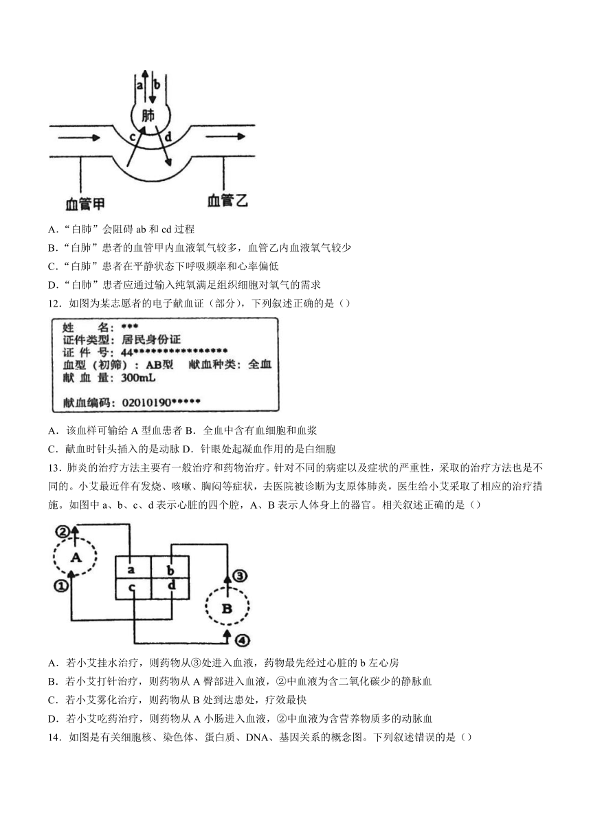 2024年山东省临沂市郯城县初中学业水平考试一模生物试题 （word版 含答案）