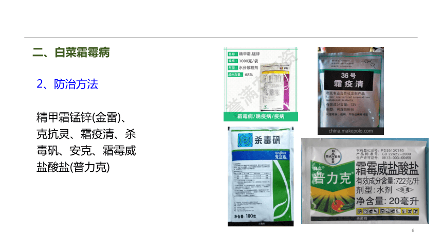 6.1.2病虫害防治 课件(共15张PPT)-《蔬菜生产技术》同步教学（中国农业出版社）