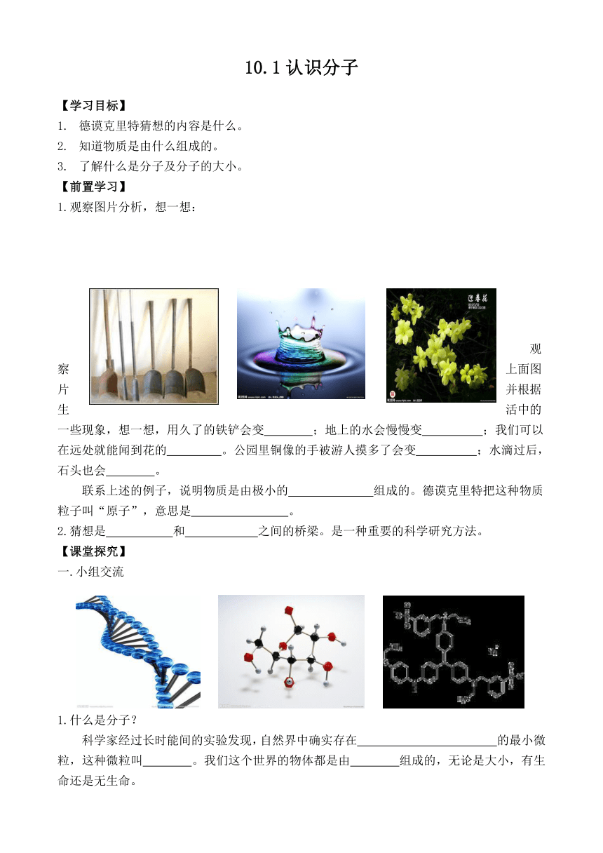 沪粤版物理八年级下册10.1 认识分子 学案（无答案）