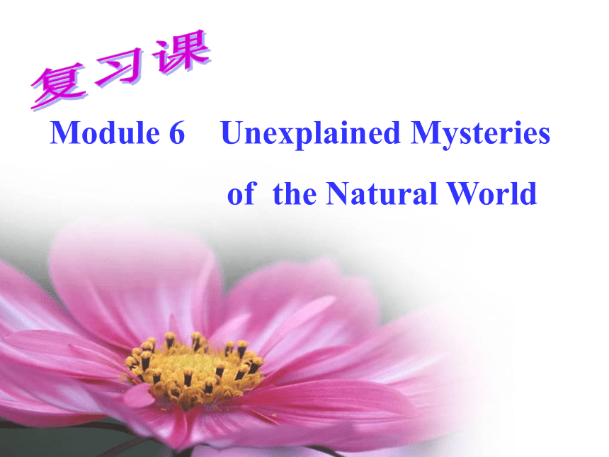 外研版  必修四  Module 6 Unexplained Mysteries of the Natural Worldreading(共29张PPT)