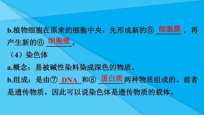 第二单元第二章 细胞怎样构成生物体（知识梳理 期中复习课件）(共38张PPT)