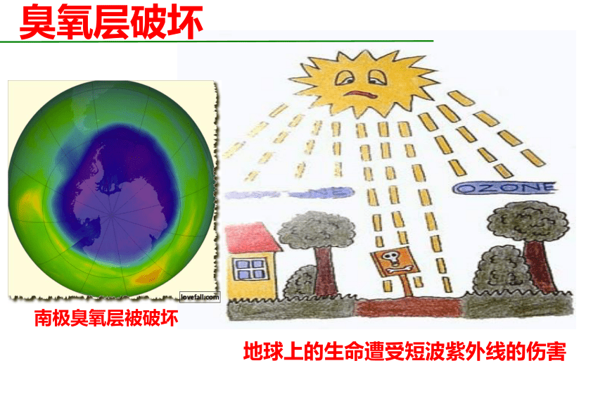 3.6.2保护我们共同的家园（共42张PPT）