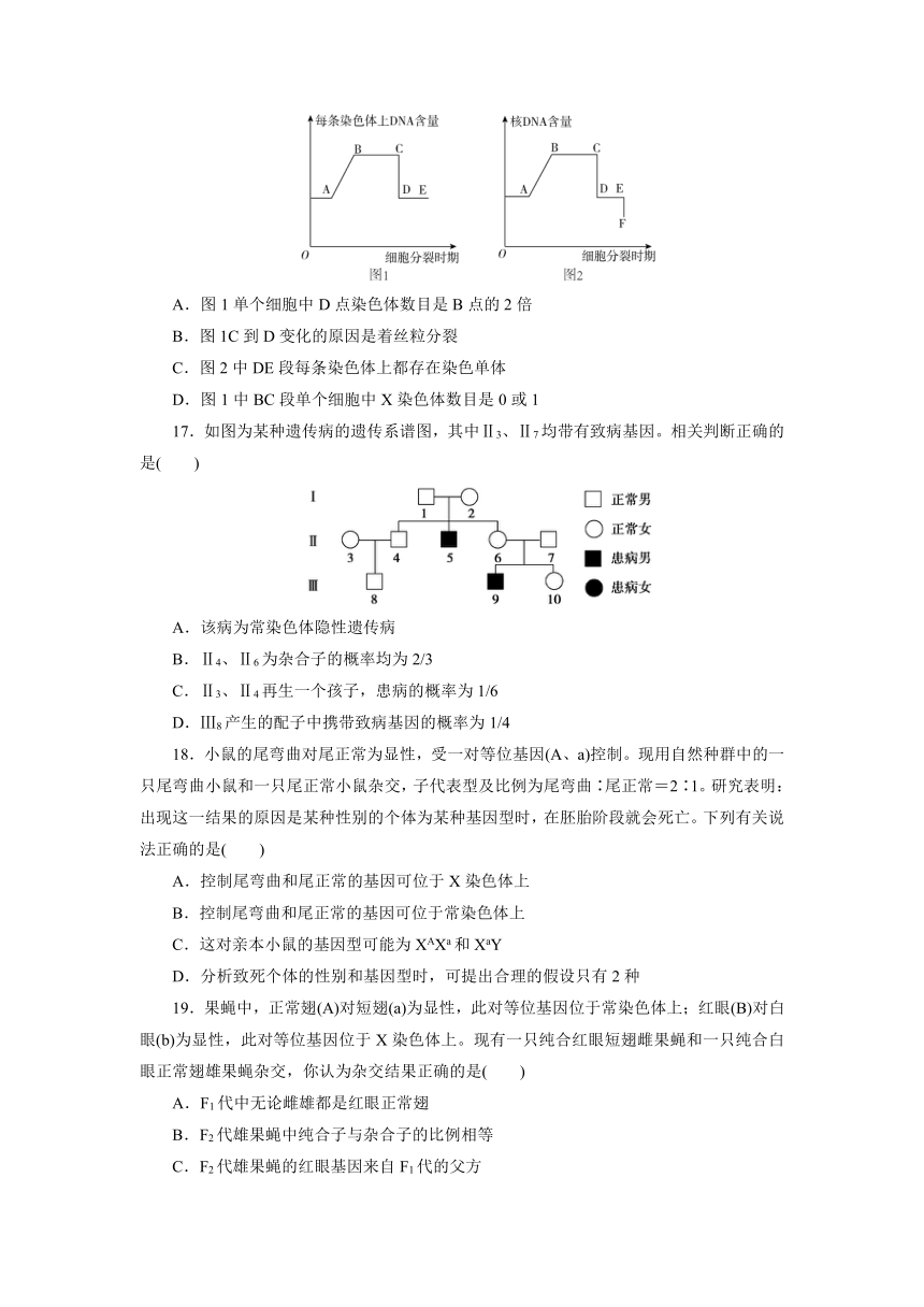 人教版生物必修2第二章 基因和染色体的关系检测题（有解析）