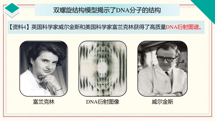 3.2 遗传信息编码在DNA分子上(共32张PPT）高中生物浙科版必修二