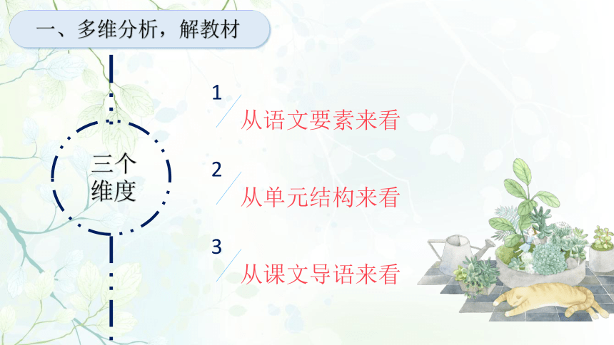 5 一个豆荚里的五粒豆 说课课件（24张PPT）