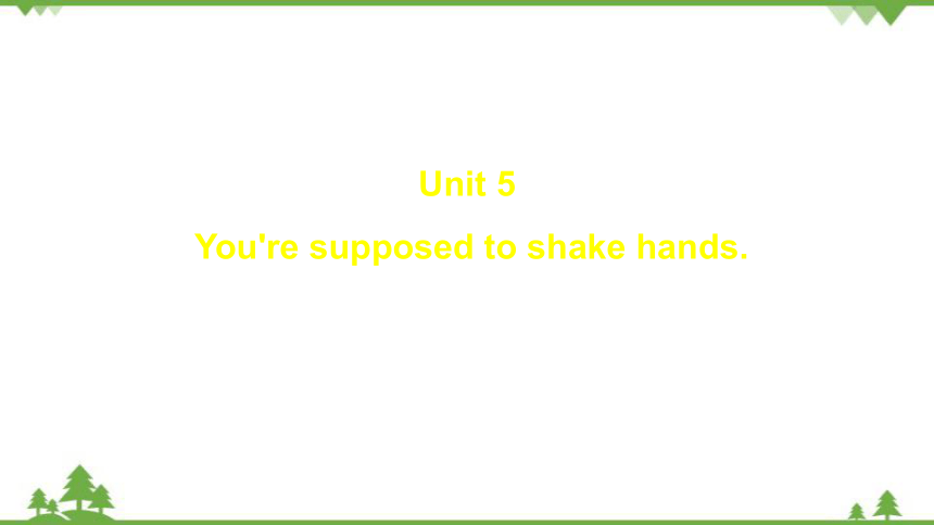 鲁教版九年级全册Unit 5 You’re supposed to shake hands. Section B 3a-Self Check课件(共25张PPT)